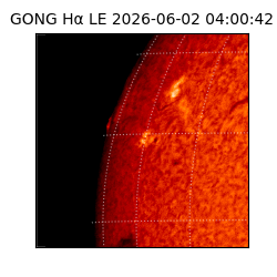 gong - 2026-06-02T04:00:42