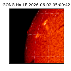 gong - 2026-06-02T05:00:42