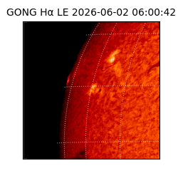 gong - 2026-06-02T06:00:42