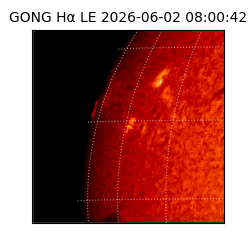 gong - 2026-06-02T08:00:42