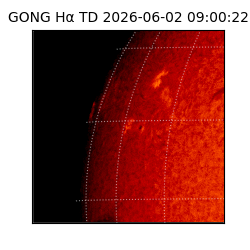 gong - 2026-06-02T09:00:22