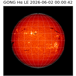 gong - 2026-06-02T00:00:42