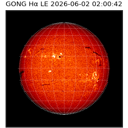 gong - 2026-06-02T02:00:42