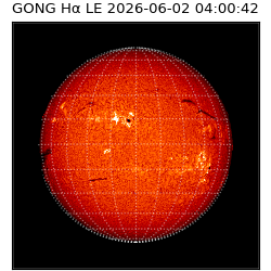 gong - 2026-06-02T04:00:42