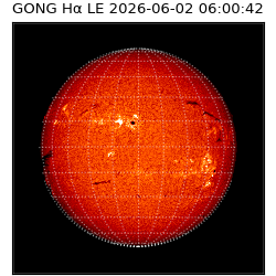 gong - 2026-06-02T06:00:42