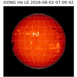 gong - 2026-06-02T07:00:42
