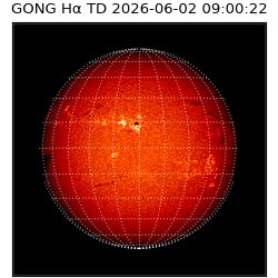 gong - 2026-06-02T09:00:22