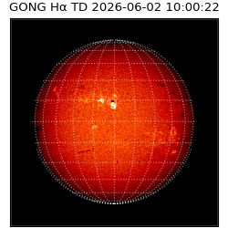 gong - 2026-06-02T10:00:22