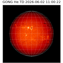 gong - 2026-06-02T11:00:22