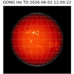 gong - 2026-06-02T12:00:22