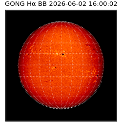 gong - 2026-06-02T16:00:02