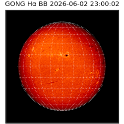 gong - 2026-06-02T23:00:02