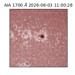 saia - 2026-06-03T11:00:28.719000