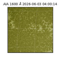 saia - 2026-06-03T04:00:14.123000