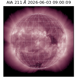 saia - 2026-06-03T09:00:09.624000