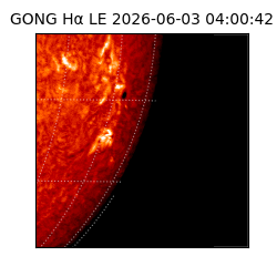 gong - 2026-06-03T04:00:42