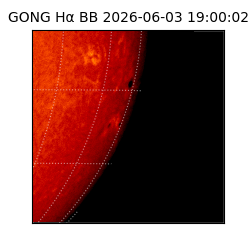 gong - 2026-06-03T19:00:02