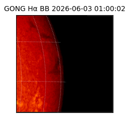 gong - 2026-06-03T01:00:02