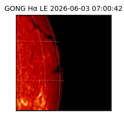gong - 2026-06-03T07:00:42