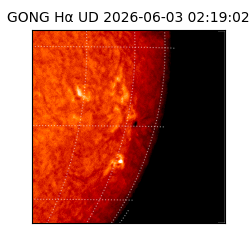 gong - 2026-06-03T02:19:02