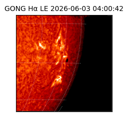 gong - 2026-06-03T04:00:42