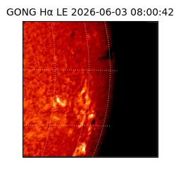 gong - 2026-06-03T08:00:42