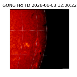 gong - 2026-06-03T12:00:22