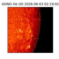 gong - 2026-06-03T02:19:02