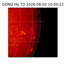 gong - 2026-06-03T10:00:22