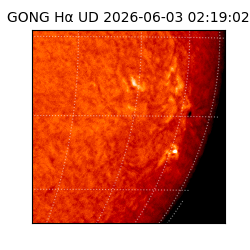 gong - 2026-06-03T02:19:02