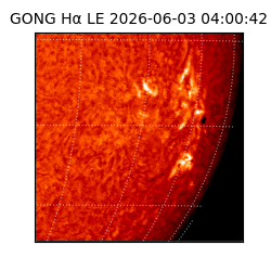 gong - 2026-06-03T04:00:42