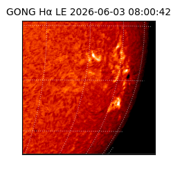 gong - 2026-06-03T08:00:42