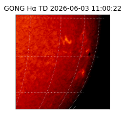 gong - 2026-06-03T11:00:22