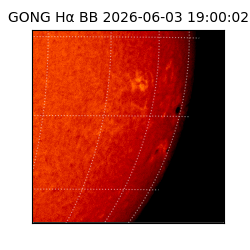 gong - 2026-06-03T19:00:02