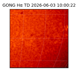 gong - 2026-06-03T10:00:22