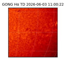 gong - 2026-06-03T11:00:22