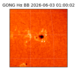 gong - 2026-06-03T01:00:02