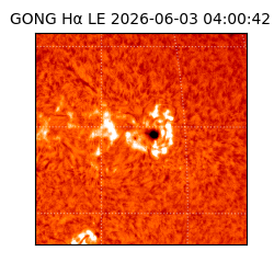 gong - 2026-06-03T04:00:42