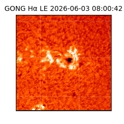 gong - 2026-06-03T08:00:42