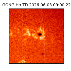 gong - 2026-06-03T09:00:22