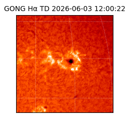 gong - 2026-06-03T12:00:22