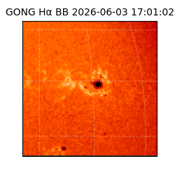 gong - 2026-06-03T17:01:02