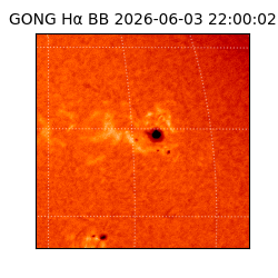 gong - 2026-06-03T22:00:02