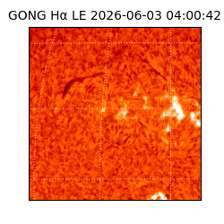 gong - 2026-06-03T04:00:42