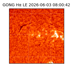 gong - 2026-06-03T08:00:42