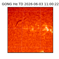 gong - 2026-06-03T11:00:22