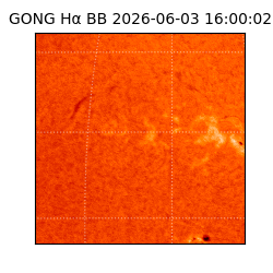 gong - 2026-06-03T16:00:02