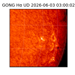 gong - 2026-06-03T03:00:02