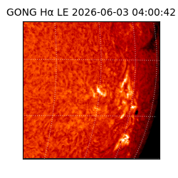 gong - 2026-06-03T04:00:42