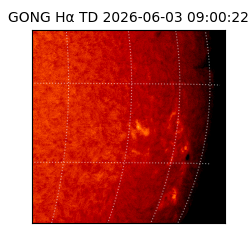 gong - 2026-06-03T09:00:22